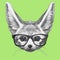 Hand drawn portrait of Fennec Fox with glasses.