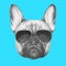 Hand drawn portrait of French Bulldog with sunglasse.