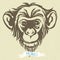 Hand drawn portrait of monkey chimpanzee.