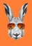 Hand drawn portrait of Rabbit with mirror sunglasses. Vector elements