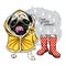 Hand drawn pug, bulldog with yellow raincoat and gumboots. Vector spring greeting card. Cute colorful dog with daffodil