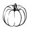 Hand drawn pumpkin, ink drawing,pumpkin vector - uncoloured, colouring page, halloween
