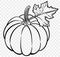 Hand drawn pumpkin with leaf in brush style isolated on transparent PNG background for Thanksgiving