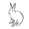 Hand drawn rabbit, graphic hare illustration. Animal isolated on white background