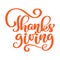 Hand drawn red Thanksgiving text typography poster. Phrase Celebration quotation for card, postcard, event icon logo or