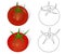 Hand-drawn ripe tomatoes, realistic and contoured objects, vector drawing