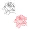Hand drawn rose contour. Continuous drawing with one line. Vector