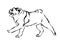 Hand drawn running pug puppy dog. Vector sketch black isolated animal pet illustration on white background