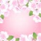 Hand drawn sakura blossom peach white flowers plant decorative illustration, pink gradient vector background banner