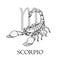 Hand drawn Scorpio. Zodiac symbol in vintage gravure or sketch style. Old-fashioned scorpion in attack pose. Retro astrology const