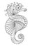 Hand drawn sea horse zentangle style for coloring page,t shirt design effect,logo tattoo and so on.