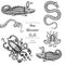 Hand Drawn Sea Monsters Serpent, tentacle, Octopus, Squid, whale