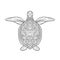 Hand drawn sea turtle with small and middle pattern on white isolated background.