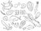 Hand drawn Seafood set. Decorative icons Squid, Octopus, salmon, oysters, scallops, lobster, red perch ,crab, shellfish and