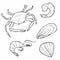 Hand drawn Seafood set. Decorative icons Squid, Octopus, salmon, oysters, scallops, lobster, red perch ,crab, shellfish and