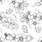 Hand drawn seamless pattern black and white of blossom dogrose flower, plant, leaf. Vector illustration. Elements in