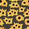 Hand drawn seamless pattern of composition blooming sunflowers and colorful leaves. Decorative autumn watercolor bouquet