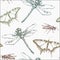 Hand-drawn seamless pattern with dragonfly, butterfly and wasp.