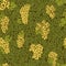 Hand drawn seamless pattern grape background. Green leaves, yellow bunches