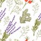 Hand drawn seamless pattern - herbs and spices. Organic drug plants. Botanical illustrations.