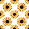 Hand drawn seamless pattern of yellow blooming sunflowers. Bright sunny flowers. Decorative colorful autumn watercolor