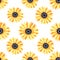 Hand drawn seamless pattern of yellow blooming sunflowers. Bright sunny flowers. Decorative colorful autumn watercolor