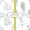 Hand drawn seamless patterns collection with lovage, lemongrass, chervil, marjoram
