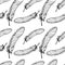 Hand Drawn Seamless Plumage Pattern