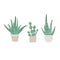 Hand drawn set of cute aloe vera plants growing in pots. aloe in pots. Houseplant flower pot vector illustration
