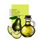 Hand drawn set of essential oils. Vector avocado slices. Medicinal plant with glass dropper bottle. Engraved colored art