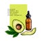 Hand drawn set of essential oils. Vector avocado slices. Medicinal plant with glass dropper bottle. Engraved colored art