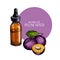 Hand drawn set of essential oils. Vector colored plum seed. Medicinal berry with glass dropper bottle. Engraved colored