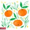 Hand drawn set of orange fruit with texture. Food element collection. Vector illustration of tangerines with leaves