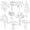 Hand Drawn Set of Trees. Doodle Drawings of Palms, Sequoia, Aloe, Acacia, Ceiba in Sketch Style