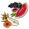 Hand drawn set of tropical fuits. Vector colored isolated objects. Sliced pear, sea buckthorn, watermelon, grape, fig