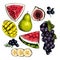 Hand drawn set of tropical fuits. Vector colored isolated objects. Sliced watermelon, mango, banana, fig. Grape branch