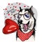 Hand drawn siberian husky with heart shape baloon. Vector Valentine day greeting card. Cute colorful dog wears glasses