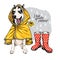 Hand drawn siberian husky with yellow raincoat and gumboots. Vector spring greeting card. Cute colorful dog with