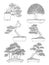 hand drawn side view Bonsai tree vector set.