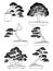 hand drawn side view Bonsai tree vector set.