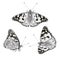 Hand Drawn Sitting Butterflies Set