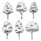 hand drawn sketch architect trees