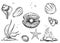 Hand drawn sketch black and white set of marine shell, conch, seashell, mussel, pearl. Vector illustration. Elements in