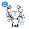 Hand drawn sketch crab with big claws. Seafood vector illustration