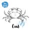 Hand drawn sketch crab with big claws. Seafood vector illustration