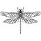 Hand drawn Sketch Dragonfly Vector tattoo