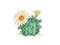 Hand Drawn Sketch of Hamatocactus or Hedgehog Cactus