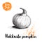 Hand drawn sketch hokkaido pumpkin. Healthy nutrition vector illustration poster.