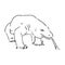 hand drawn, sketch illustration of Komodo dragon. varan vector sketch illustration