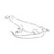 hand drawn, sketch illustration of Komodo dragon. varan vector sketch illustration